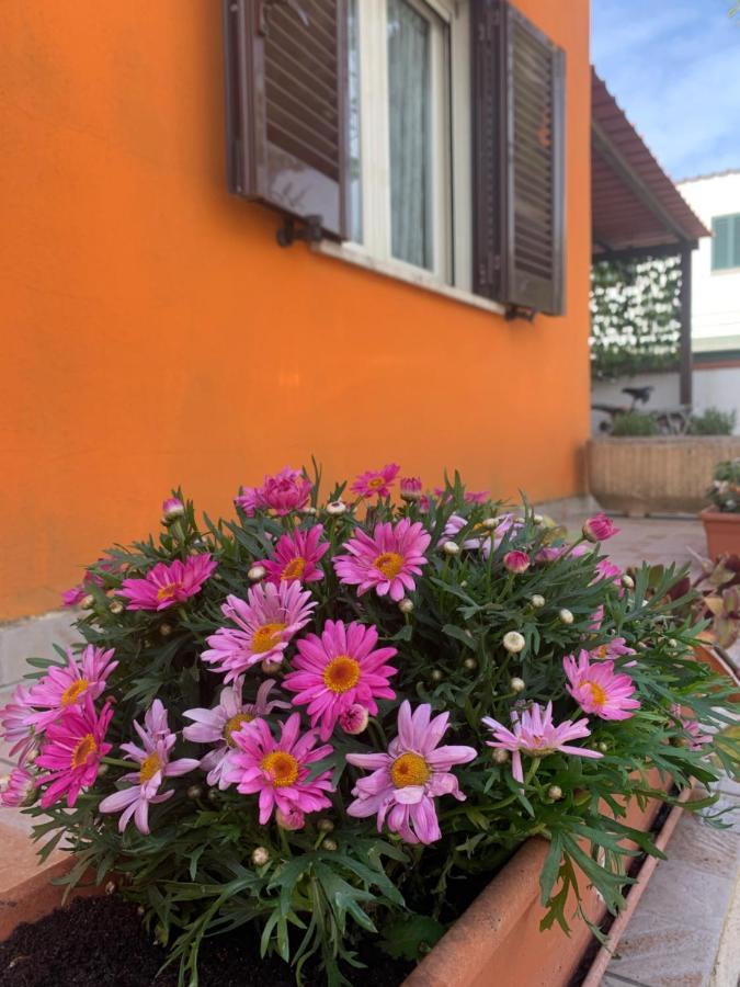 Willa Casa Mare Al Circeo San Felice Circeo Zewnętrze zdjęcie
